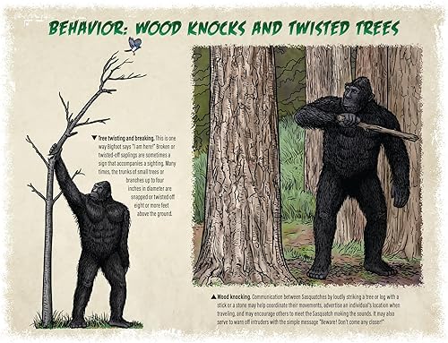 Miniatura 4 de Calendario Bigfoot 2024  Calendario de pared de 12 meses  11 x 19 pulgadas abierto  Ideal para la oficina o cabina  Regalo divertido para los