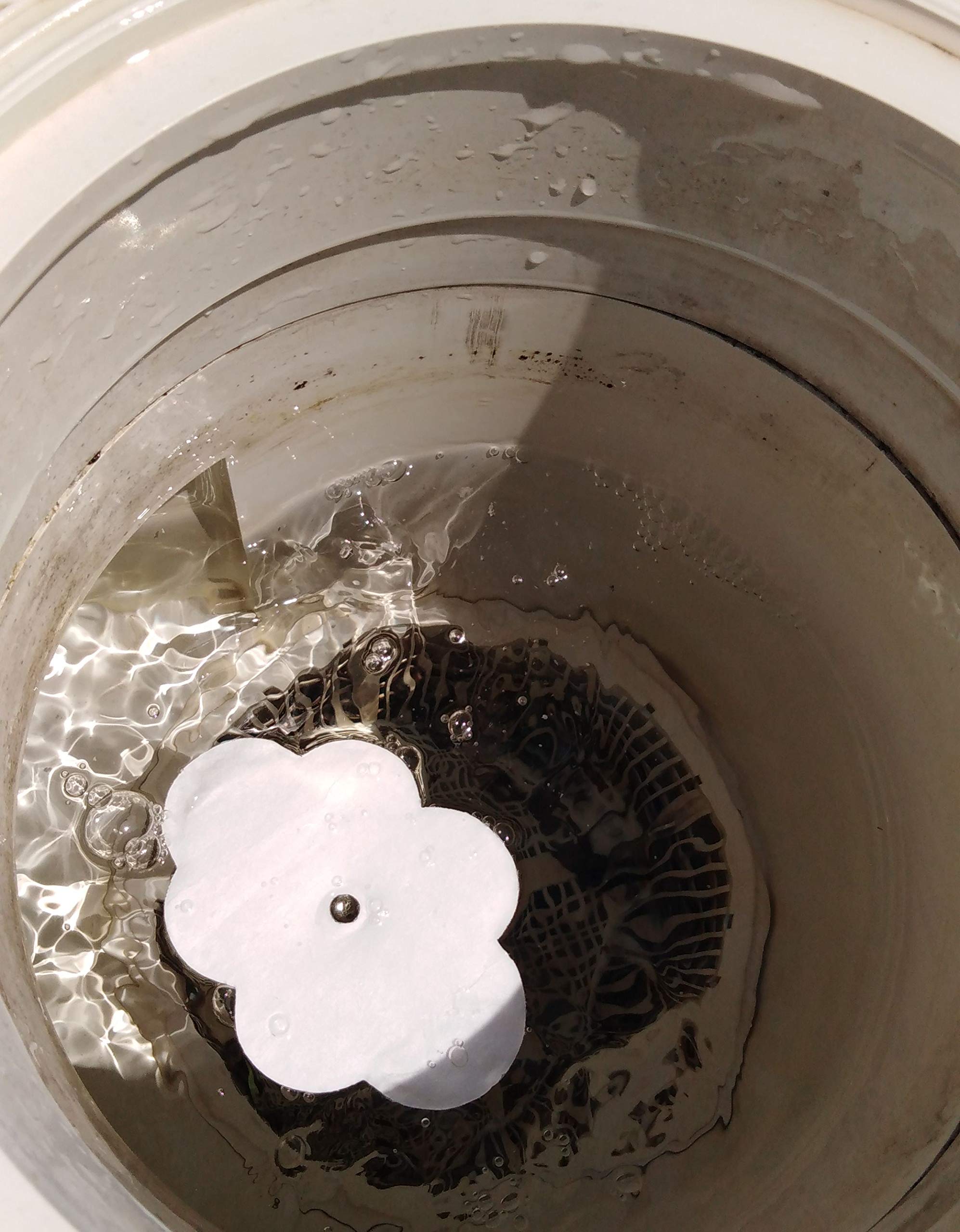 Absorbant De Résidus Gras Water Lily Pour Piscine Ou Spa - Capte Riviera