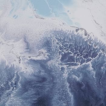 Amazon.com: Madison Park Lagoon Wall Art-Multi Blue, White