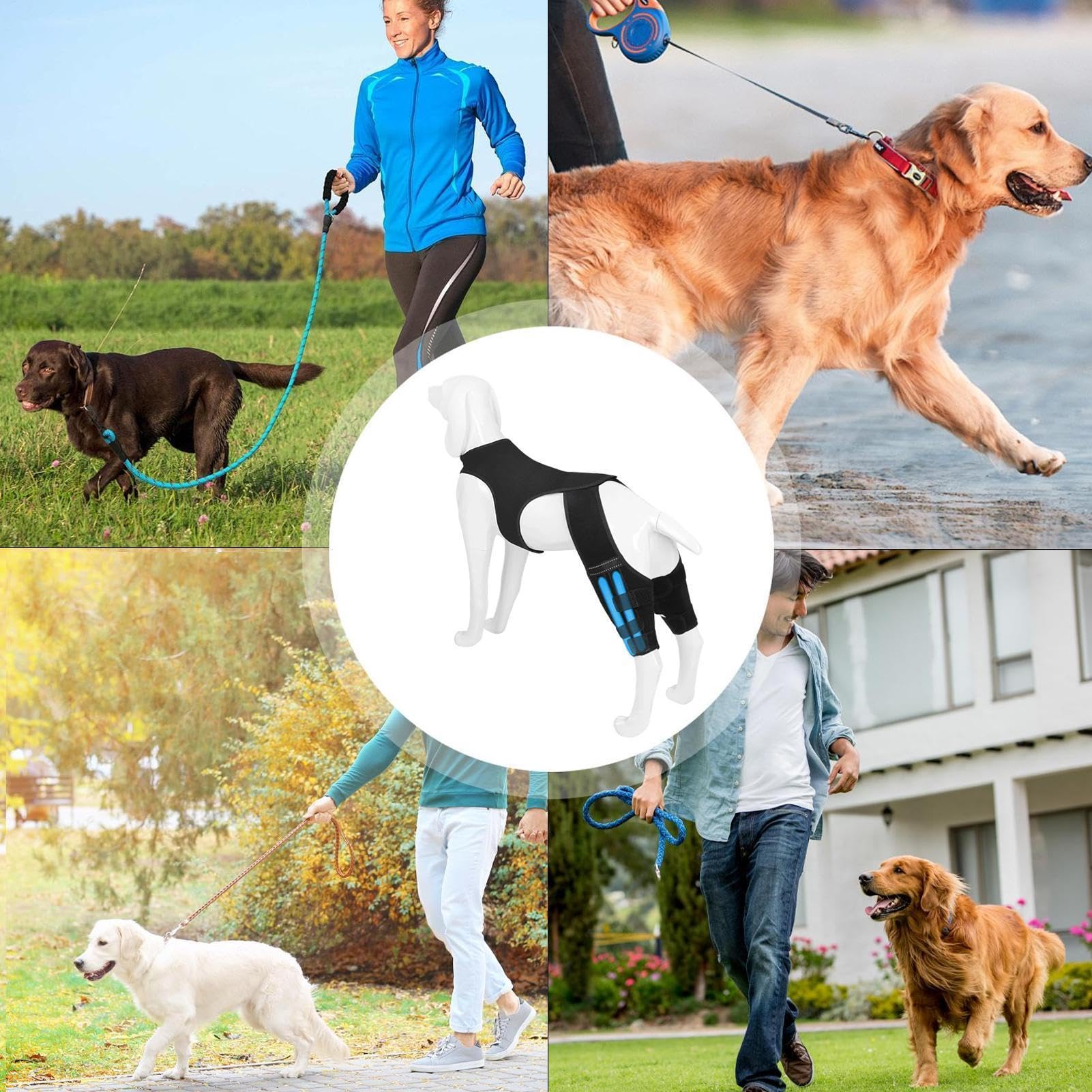 Genouillères pour Chien Patte Arrière Bandage Articulaire Réglable | Support Pour Patte Arrière De Chien Avec 4 Stabilisateurs En Métal Pour Marche Randonnée Exercice Activités Extérieures Parc