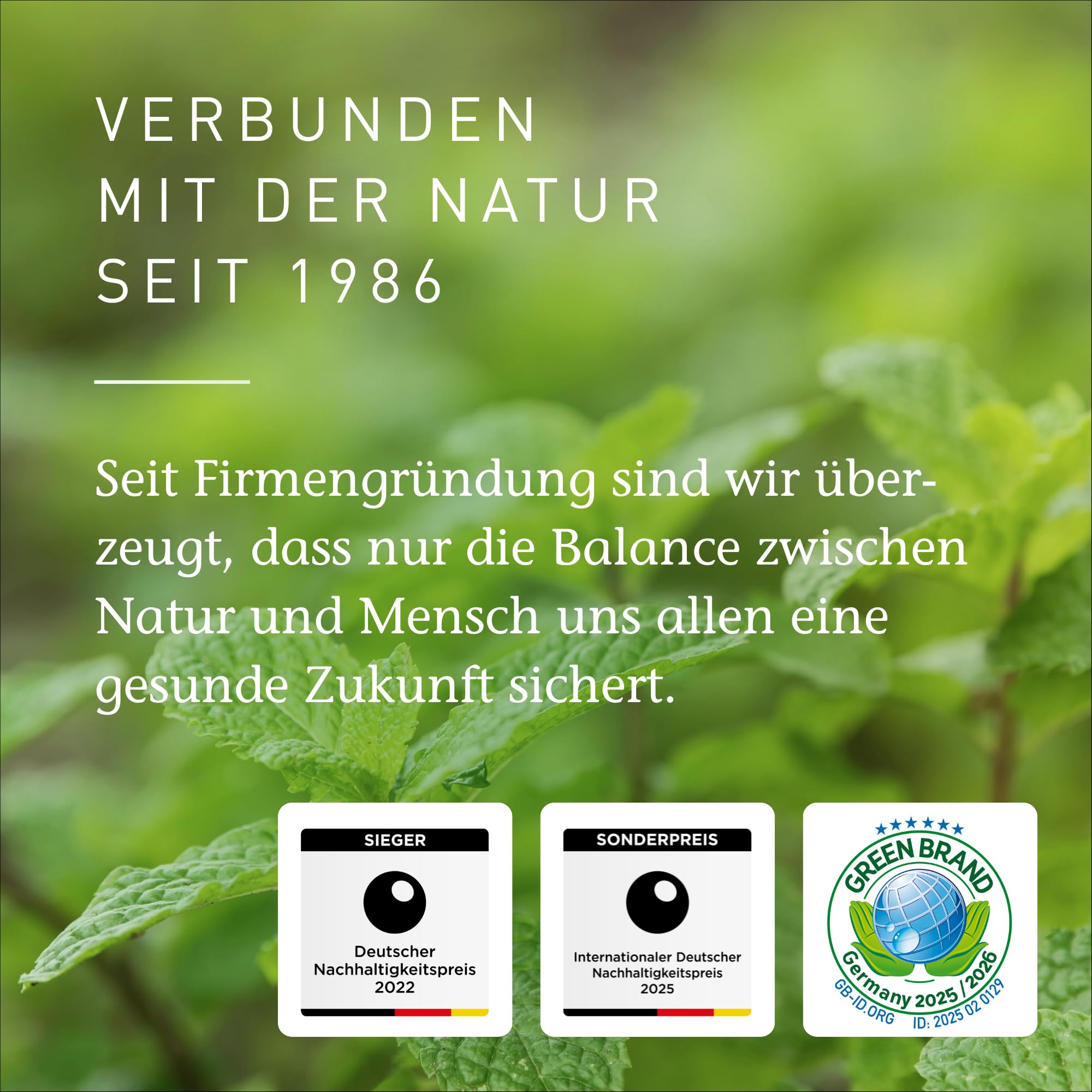 PRIMAVERA Pflegeöl Mandelöl bio* 6 x 100 ml – naturreine Pflanzenkraft – Glasflasche – Aromaöl, Körperöl, Naturkosmetik – gut verträglich, schützend, lindert Hautrötungen – vegan