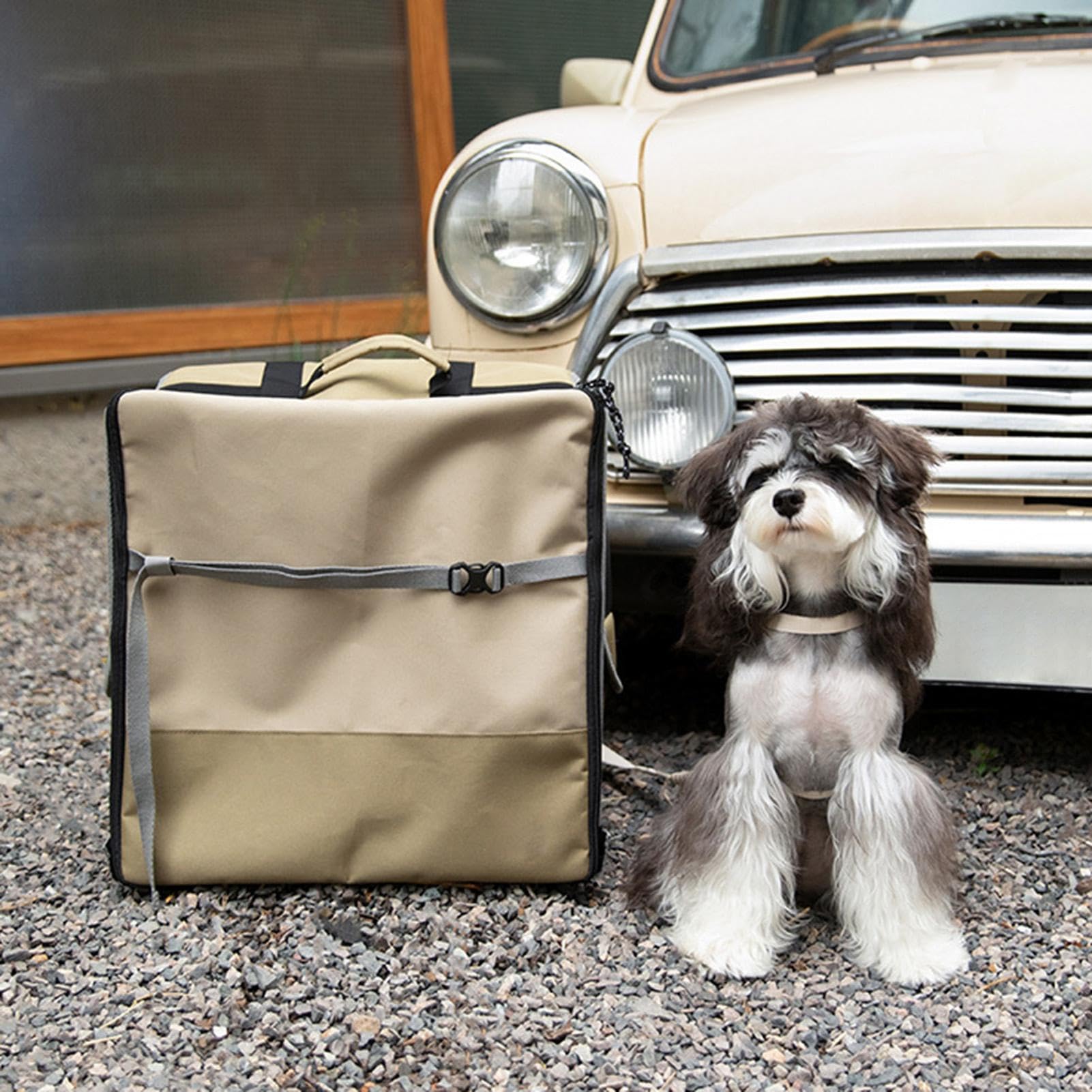 Siège Auto canin Sac À Dos Convertible