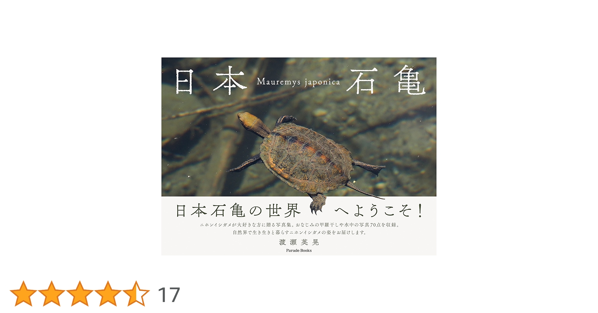 亀ページ カメ大全 | ジェフリー・E・ラヴィッチ, ウィット・ギボンズ, 冨