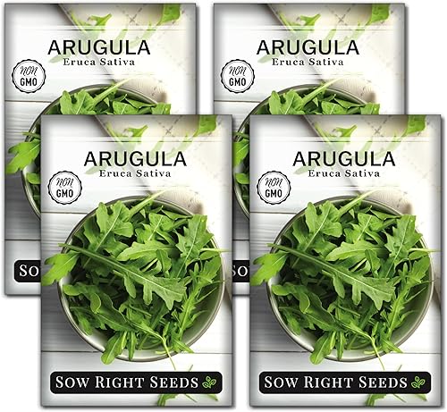 Sow Right Seeds - Semillas de rúcula para plantar - Semillas de reliquia sin OMG con instrucciones para plantar un huerto casero - Interior,