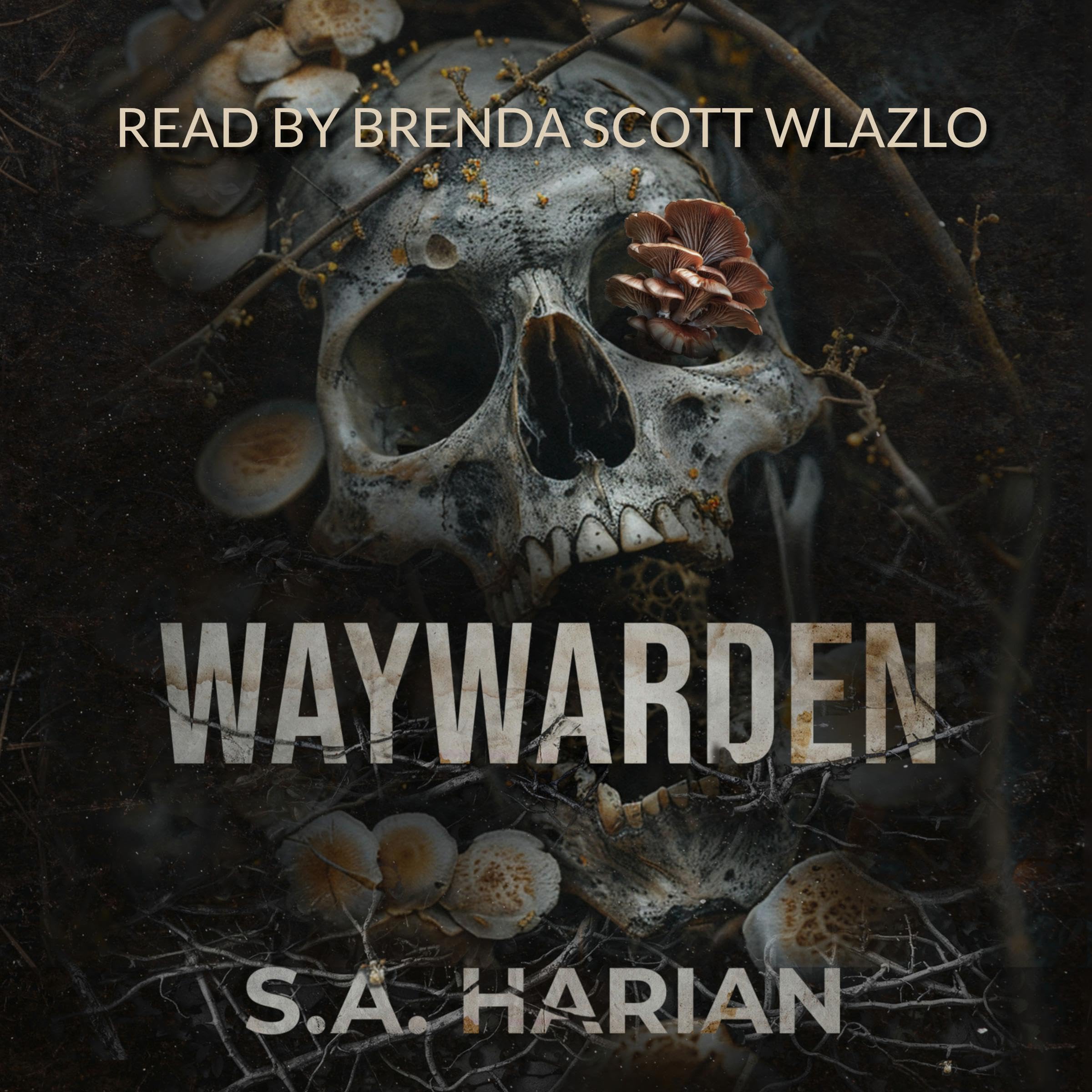Cover art for Waywarden