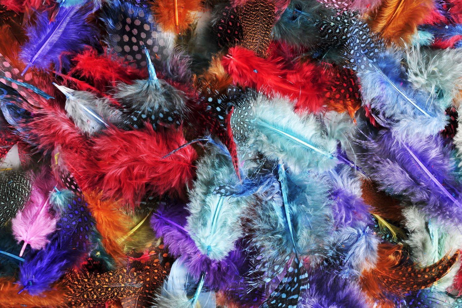 1 Pack - Red Guinea Hen Polka Dot Plumage Feathers 0.10 Oz. Halloween Craft Supplier | Moonlight Feather