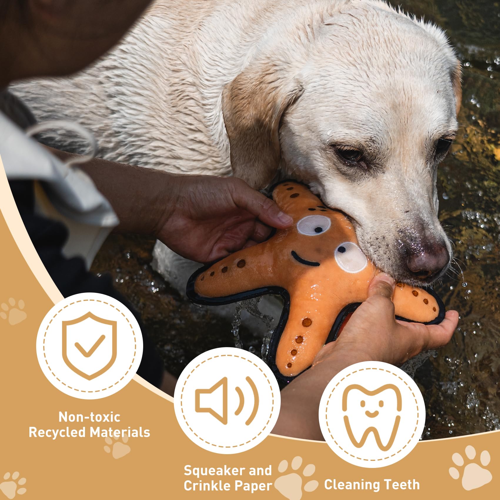Duuclume Squeaky Starfish Dog Chew Toy, Interactive Plush Stuffed Dog Toys, Teeth Cleaning Dog Toys for Small to Large Dogs - Image 4