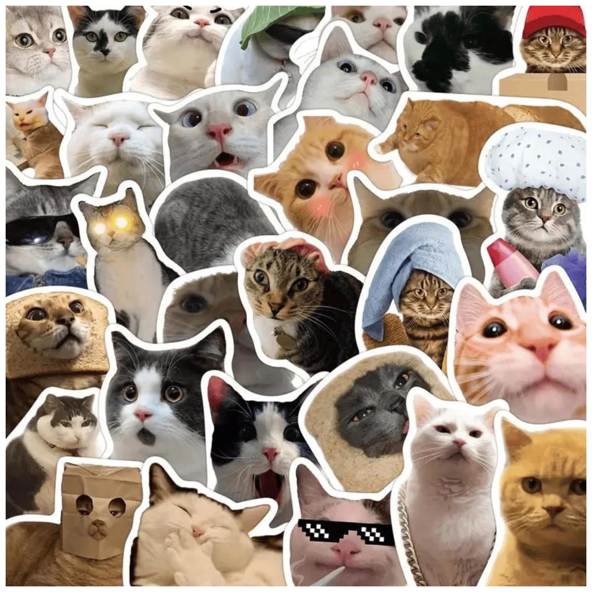 Cat Stickers,Funny Cat Meme, Kawaii for Adults,Waterproof Vinyl Stickers for Laptop Phone Guitar Water Bottles Luggage 50 Pcs