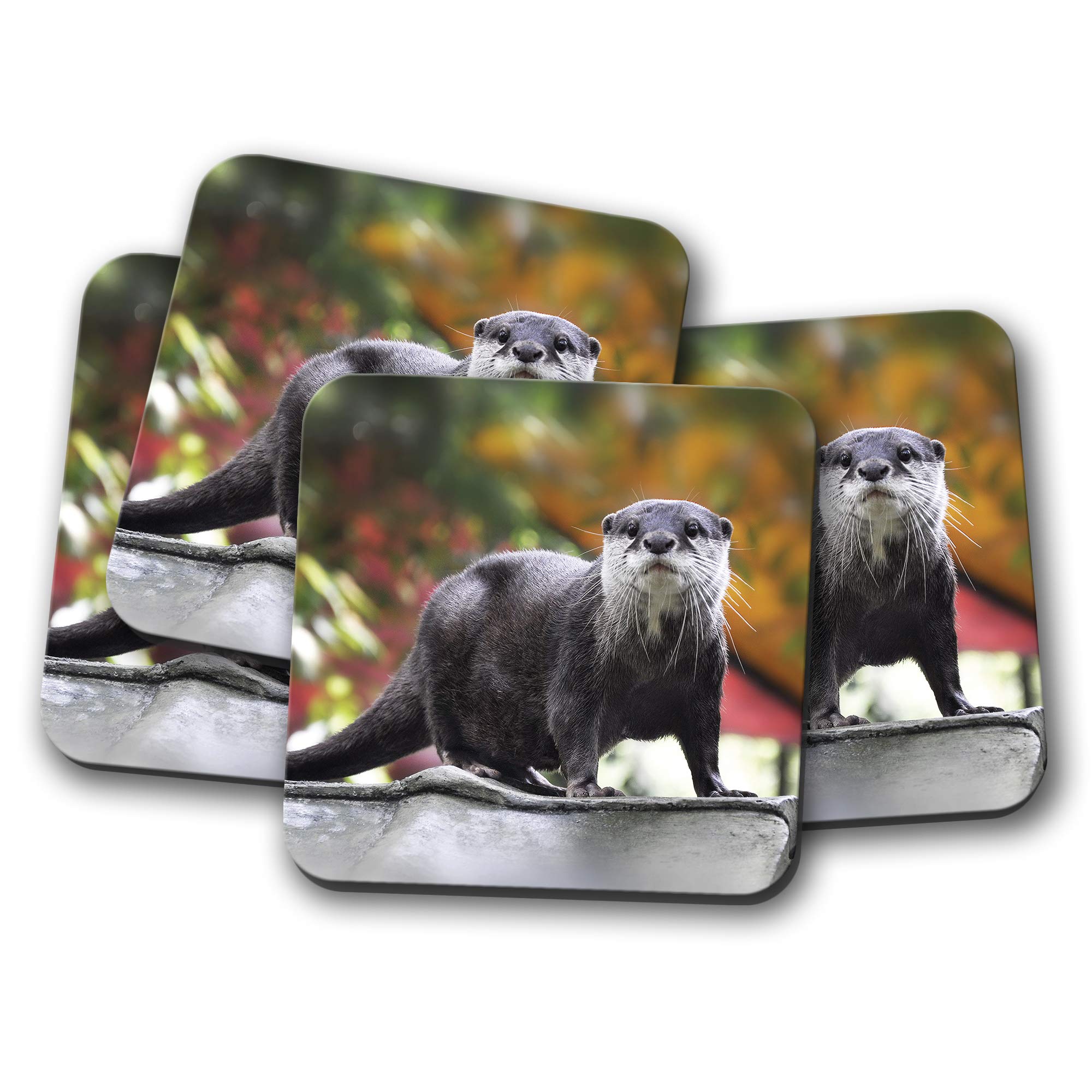 Destination Vinyl Ltd Multicolor 4 Set - Beautiful Otter Coaster - Wild Animal Nature Cute River #12642