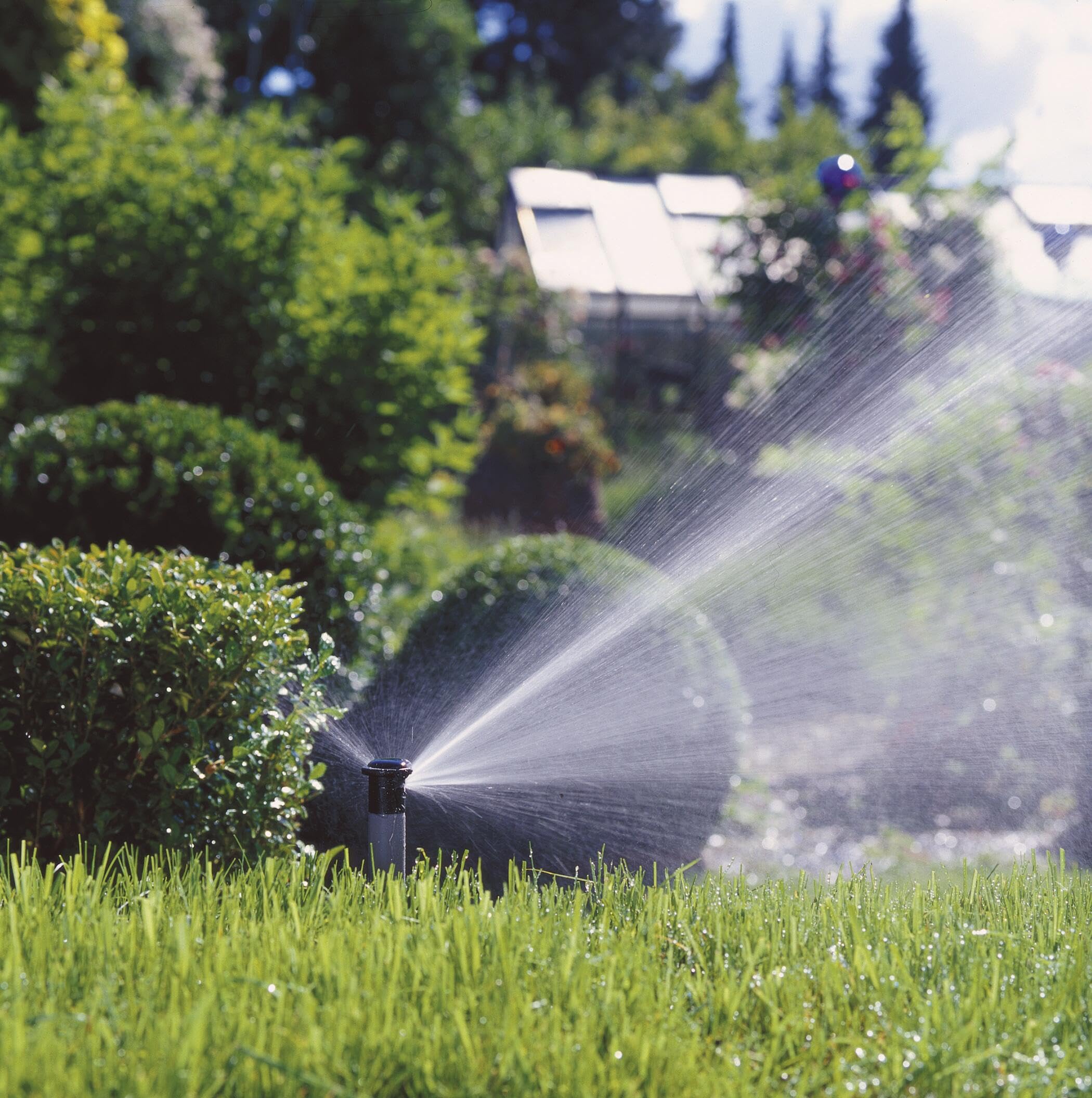 sprinklerコンプリート Amazon.com : Sprinklers for Yard, Lawn Sprinkler with Metal