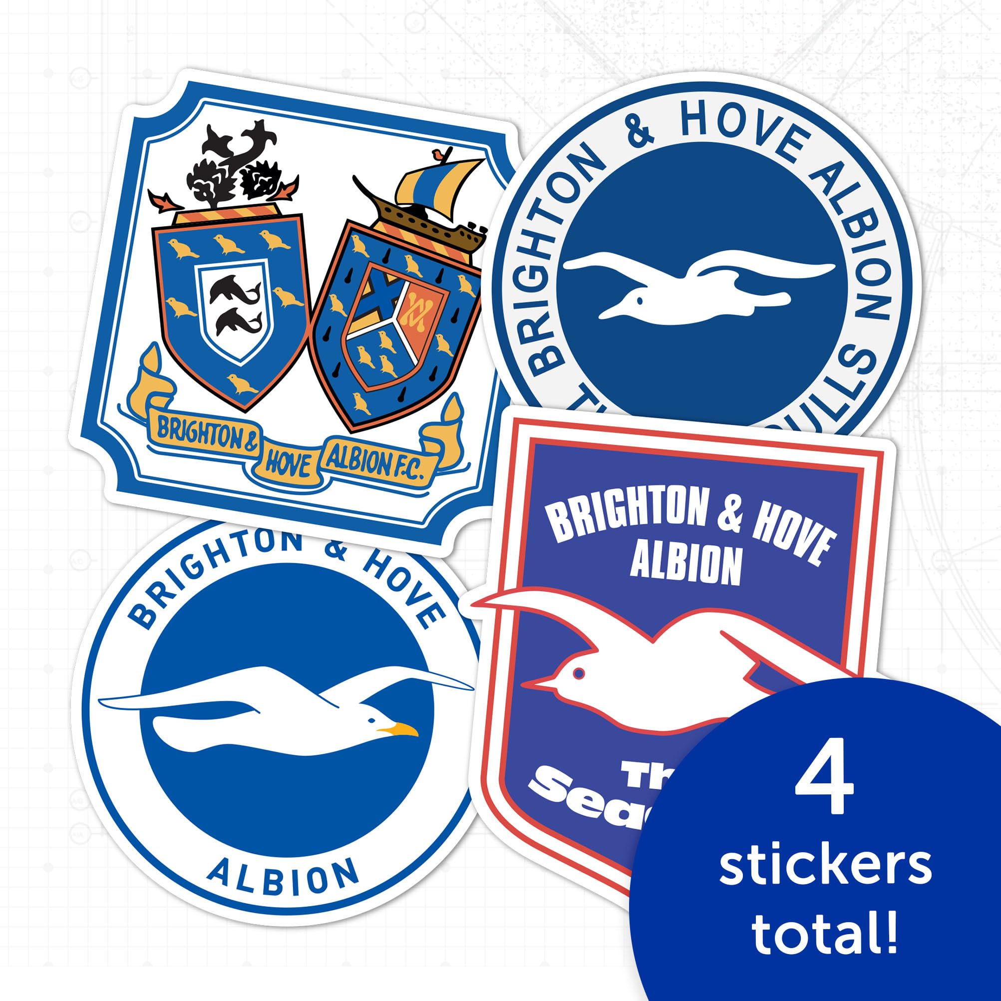 Brighton & Hove Albion 　ベスト Amazon.com: Desert Cactus Brighton & Hove Albion Sticker BHAFC