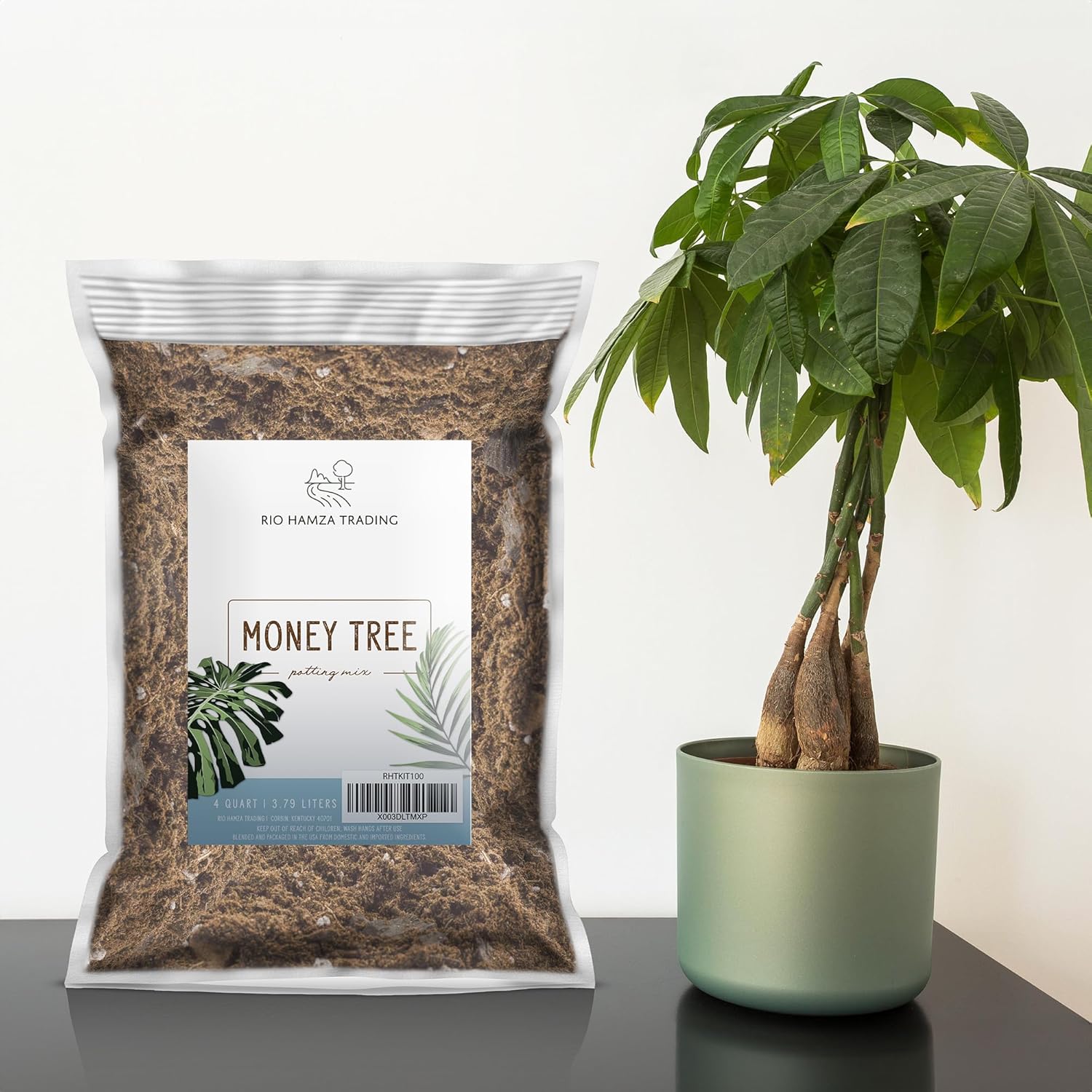 Money Tree Soil (4 Quarts), Potting Mix for Planting/Repotting Pachira Aquatica, All-Natural Custom Soil Blend - Image 2