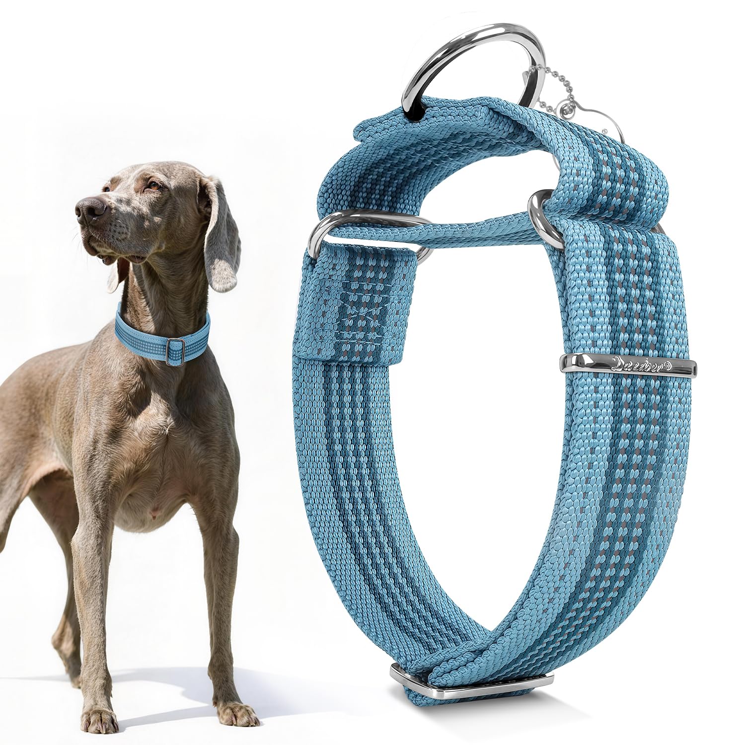 Dazzber 1.5" Martingale Dog Collar, Escape-Proof & Anti-Slip, Extra Strong Reflective Nylon, Adjustable Two-Color Stripe for Medium to Large Dogs (Baby Blue,M)