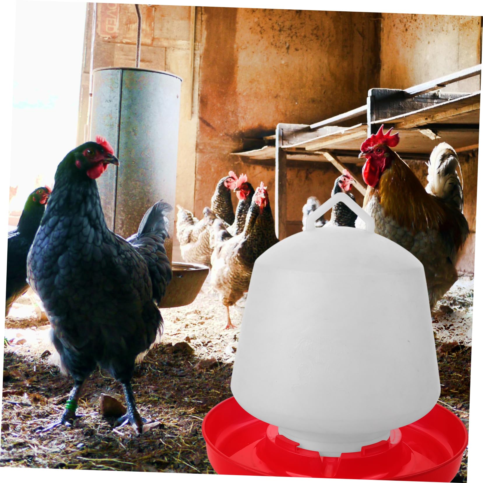 ifundom Mangiatoia per Pollame in Plastica Bianca Resistente alla Pressione Design Creativo Adatta per Uso Esterno e Allevamento di Galline e Oche