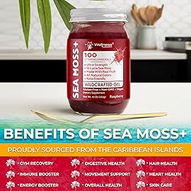 WELLNESS LABSRX Irish Sea Moss Gel Raw - Wildcrafted Superfood Seamoss Gel - Raspberry Flavor, Vitamin and Mineral-Rich from Pristine Caribbean Waters, Immune and Digestive Health Support - 10 oz.