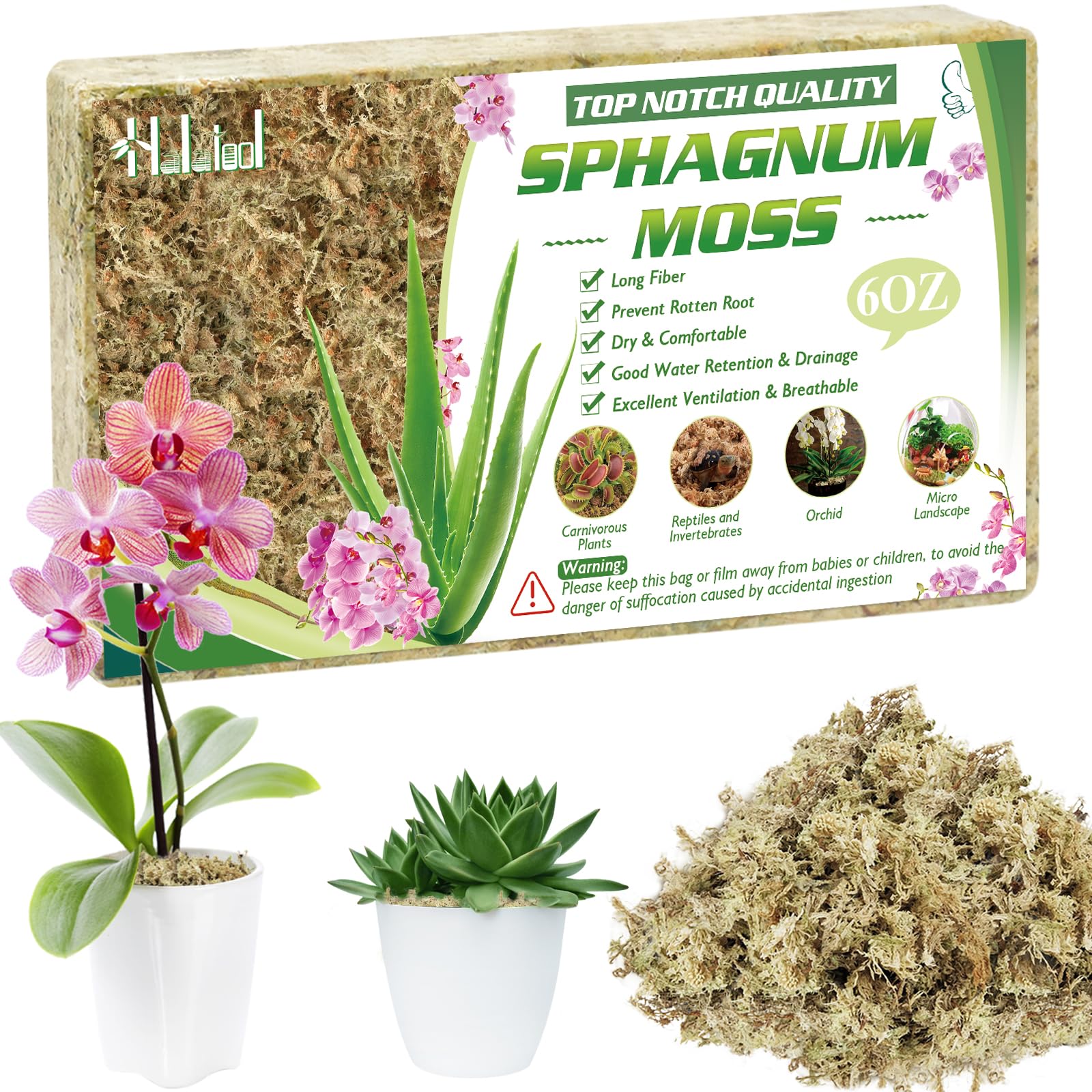 Halatool 170g Natural Sphagnum Moss for Orchids, Succulents & Reptiles - Preserved Moss for Potting Mix,Carnivorous Plants, Reptile Substrate Habitat Decoration