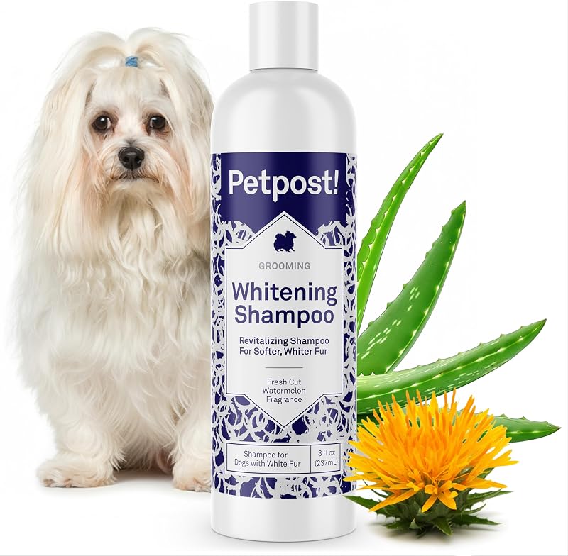 Shampoo Branqueador para Cães com Óleo de Coco e Aloe Petpost Melancia 240 mL