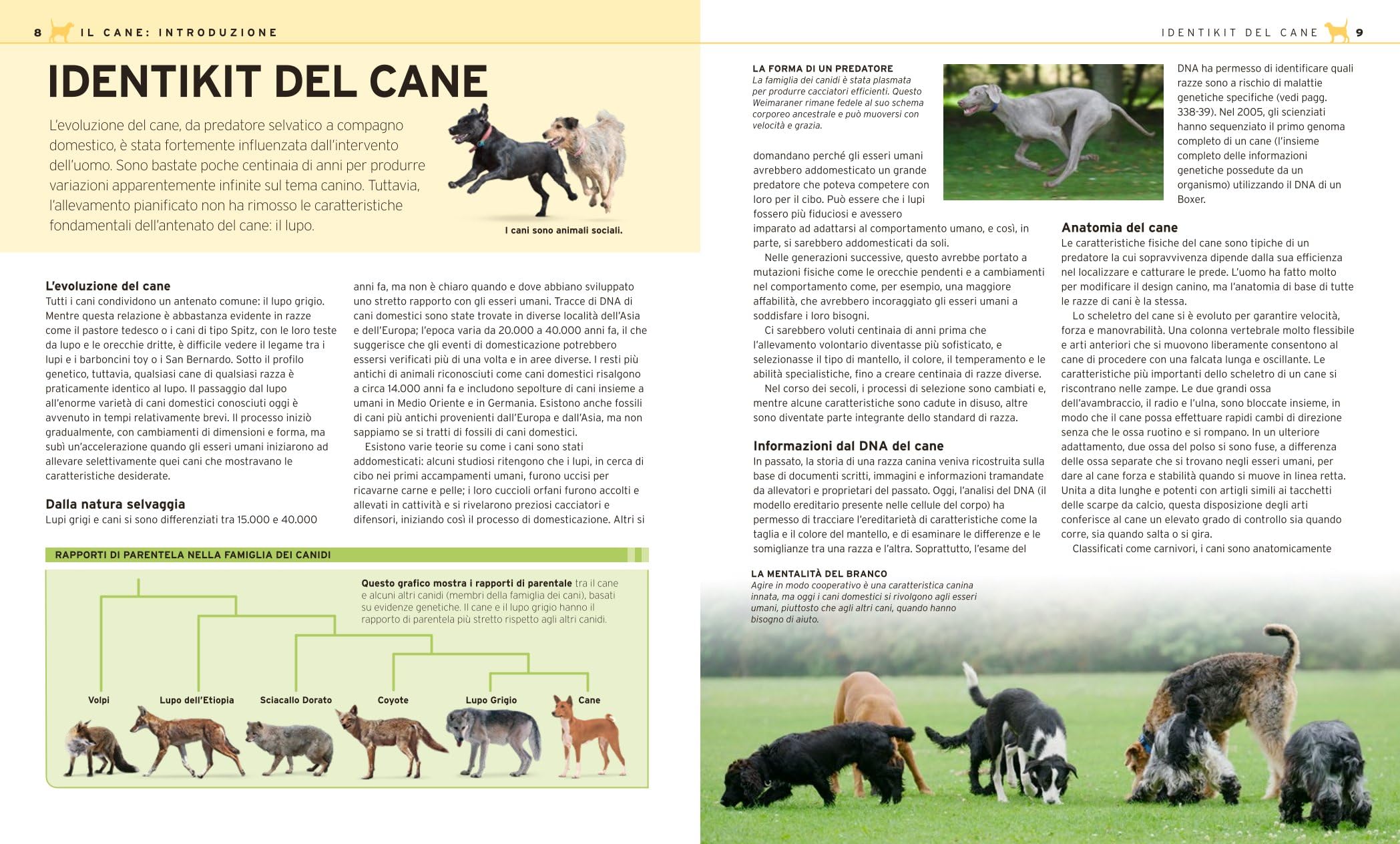 Il grande libro del cane. Tutte le razze: caratteristiche, attitudini, comportamenti e curiosità. Ediz. illustrata