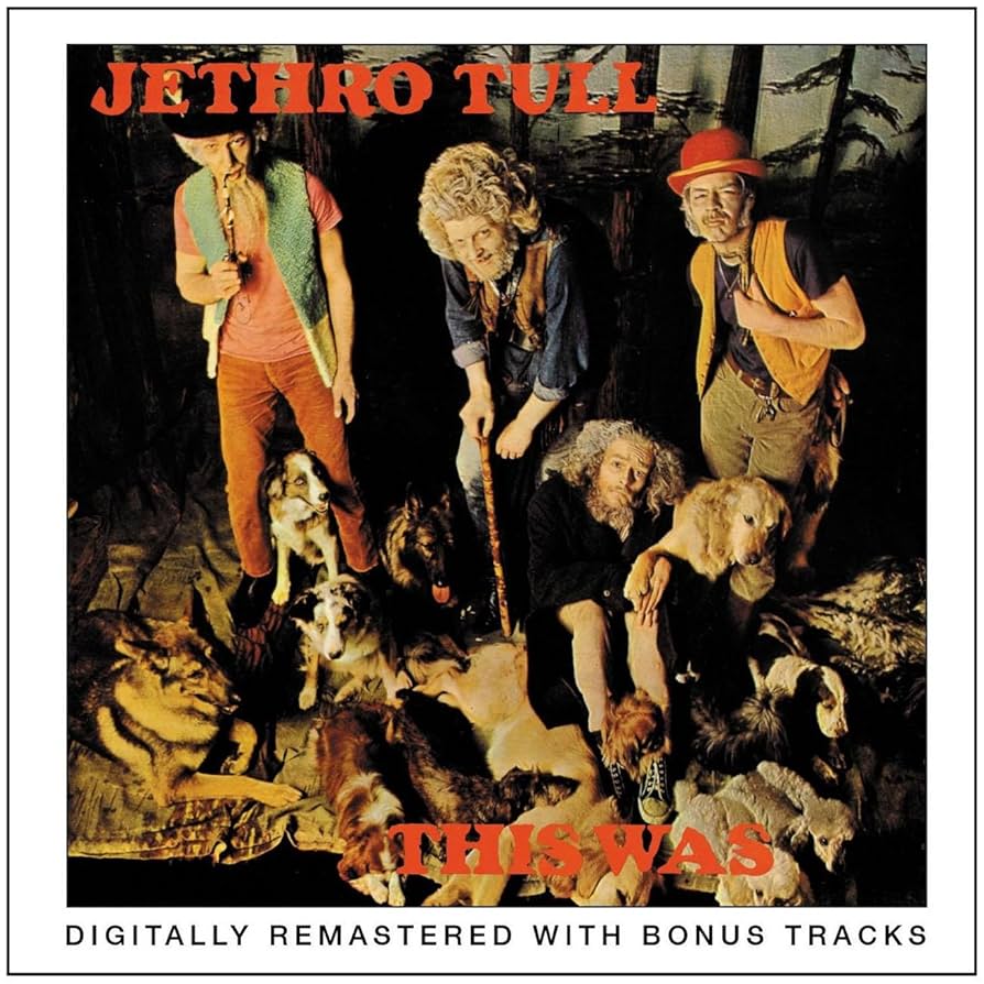 Jethro Tull ジェスロタル　紙ジャケCD11枚セット 紙ジャケCDで買い直した、Jethro Tullの復刻盤 | 続・公爵備忘録
