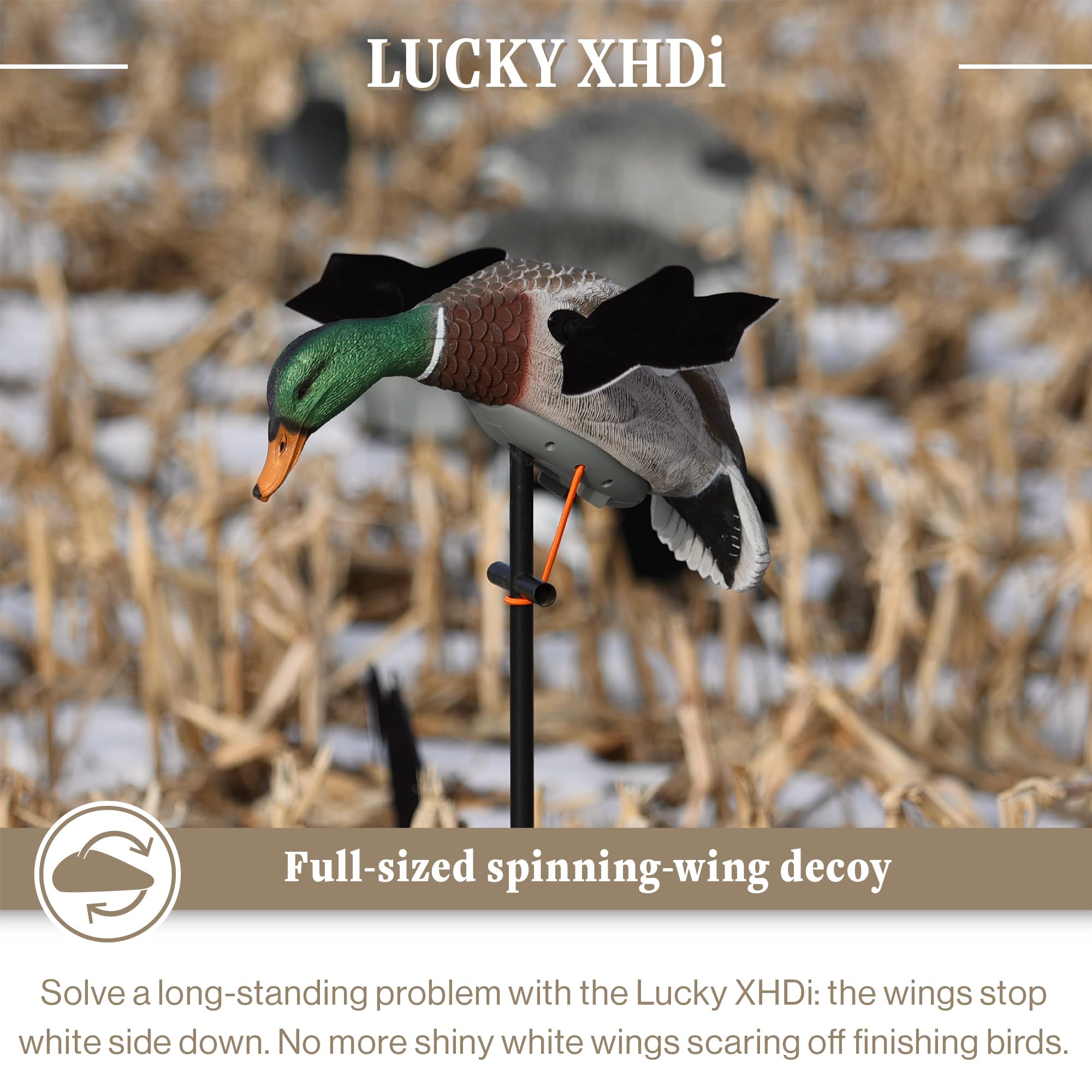 Wild Wings Loon Small Decoy by Sam Nottleman