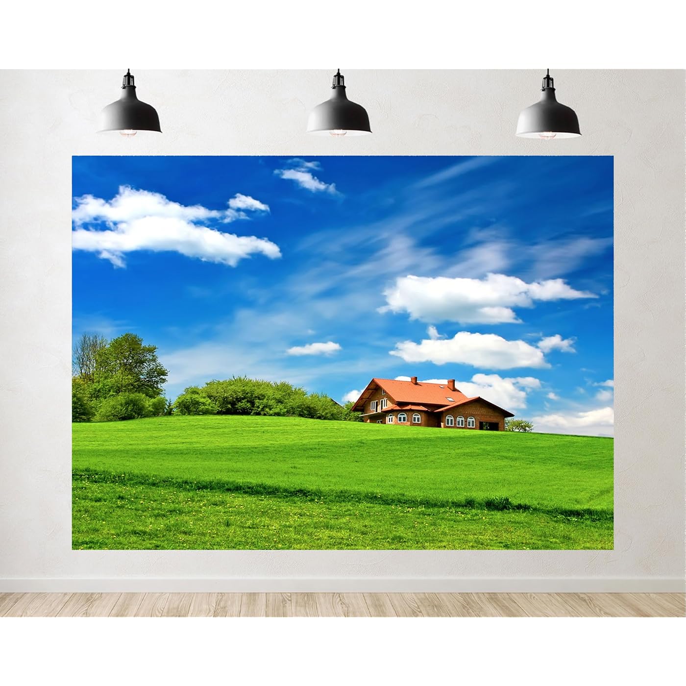Gallery image 1