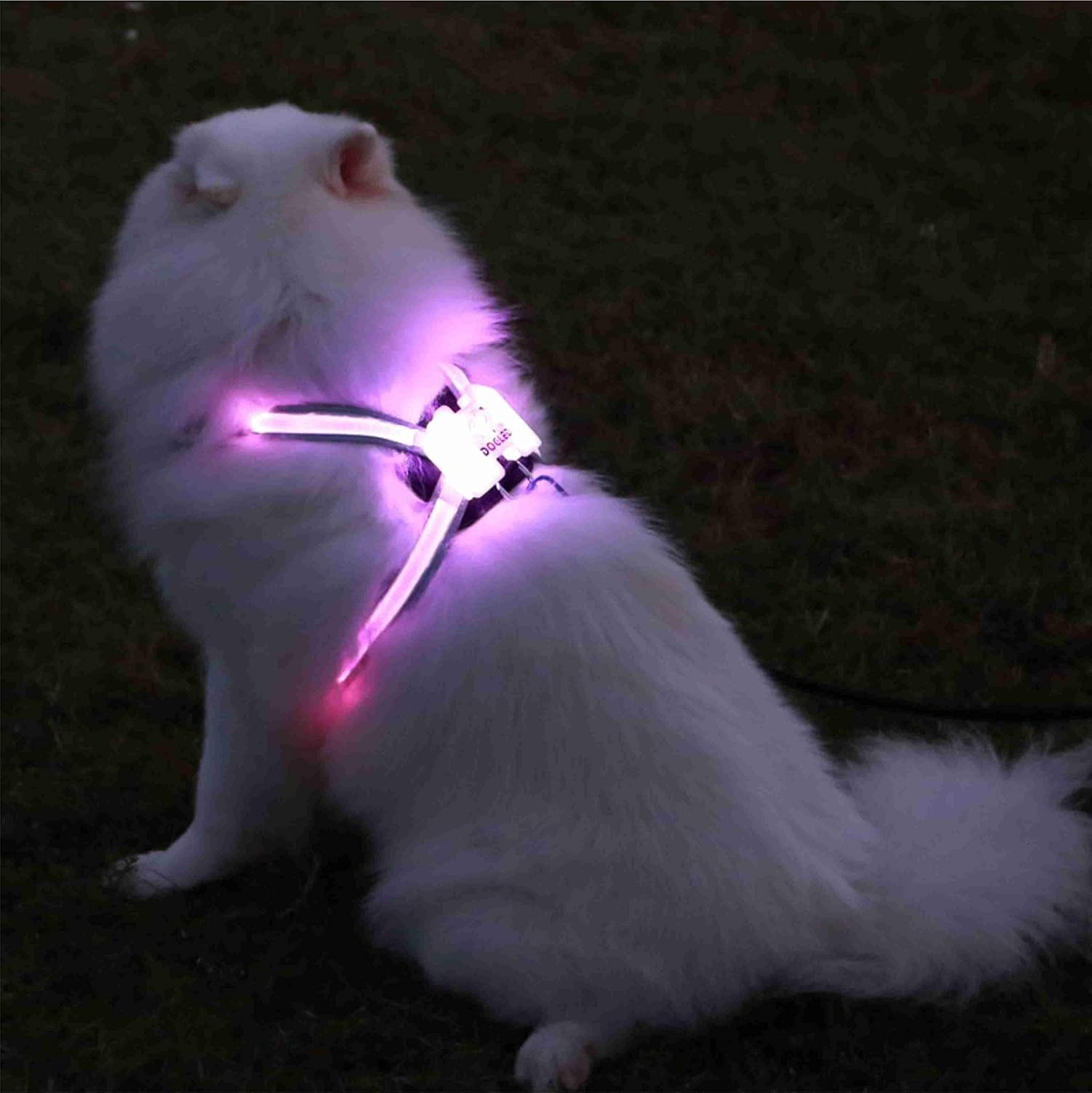 Night-Safe LED Dog Harness | 15 Modes & EU/US Patented Glow | 30% Brighter for Urban Dogs | German-Designed Breathable Mesh(M)