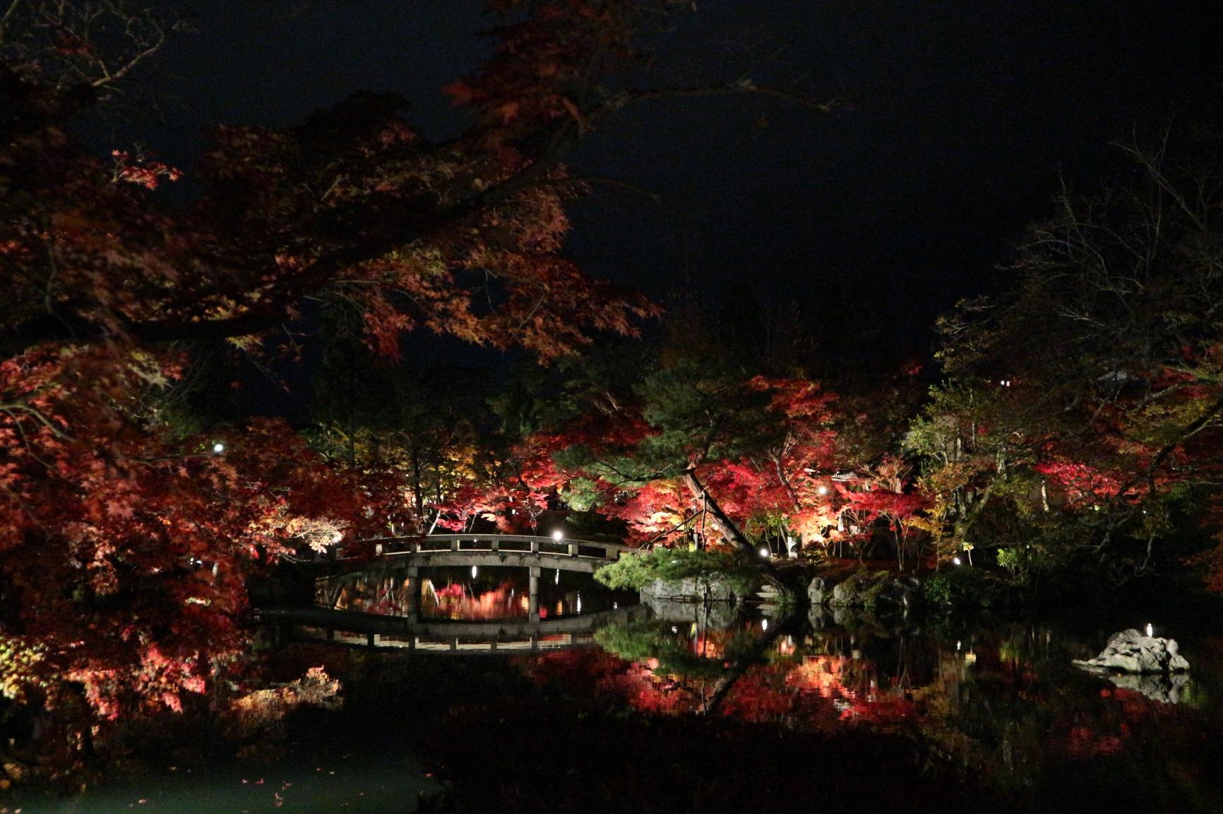 Immagine del cliente