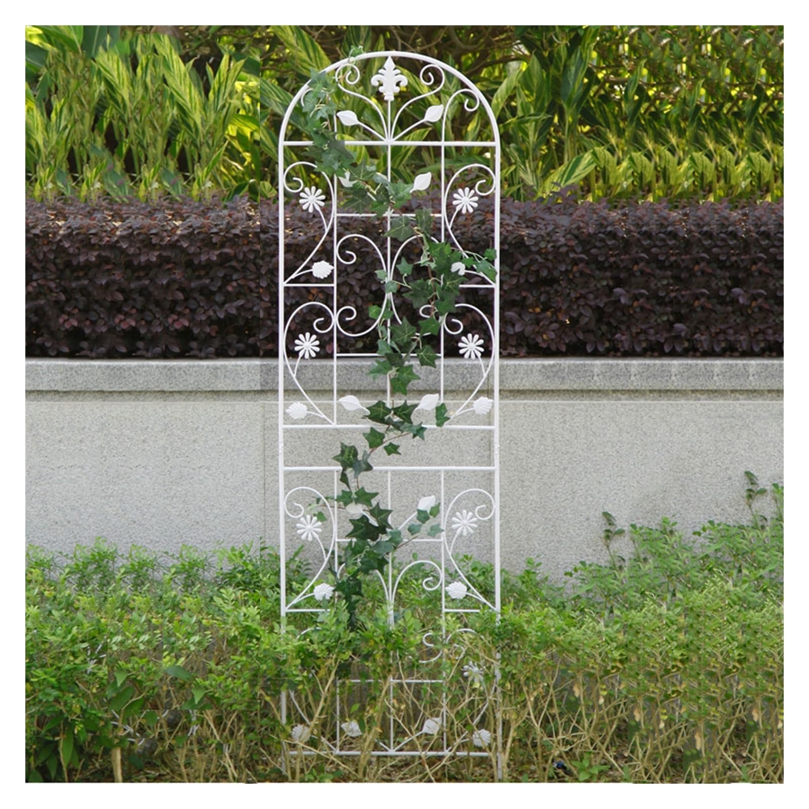 Amazon.co.jp: 180cm 200cm 防錆頑丈なガーデンアーチトレリス