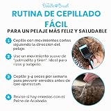 Ver la foto 7