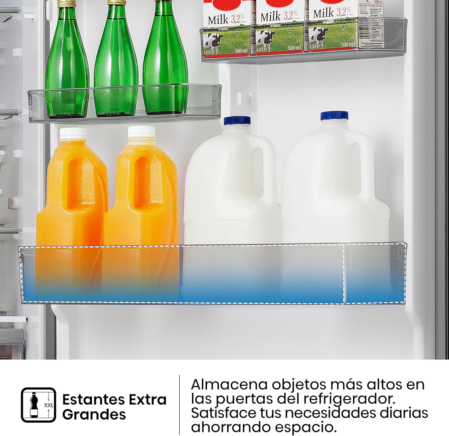 Extra large shelves in Hisense RB18N6CDX1 refrigerator door