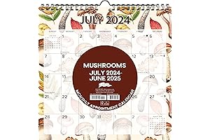 Willow Creek Press Mushrooms Wall Calendar