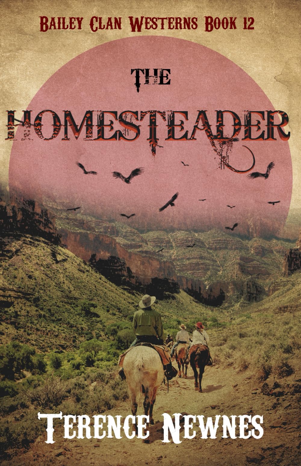 The Homesteader (Bailey Clan Westerns)