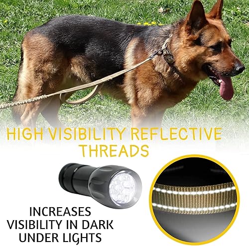 Miniatura 5 de Juego de correa y collar para perros extragrandes Green Bungee