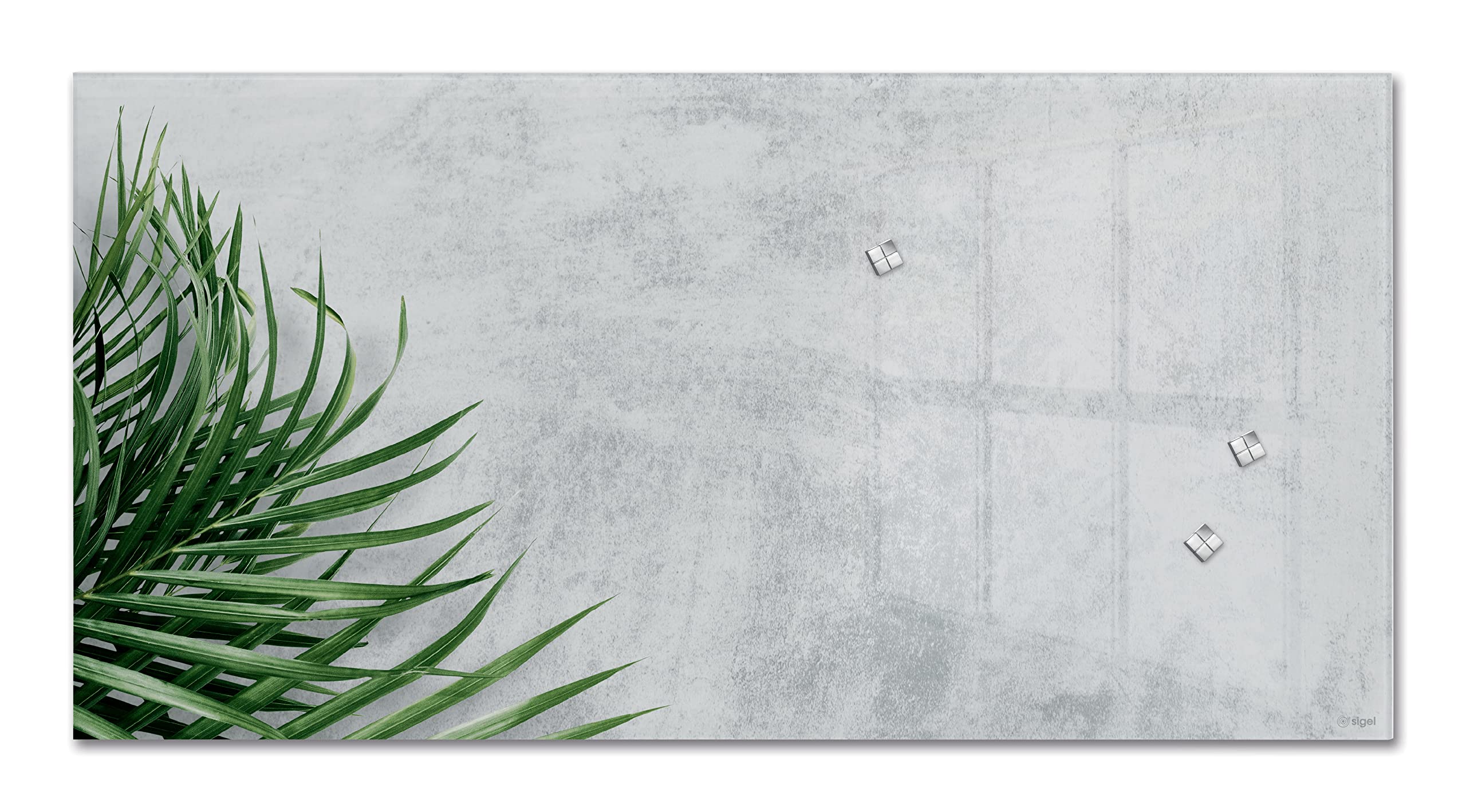 SIGEL GL288 Premium Glas-Magnettafel 91x46 cm, Design Botanic hochglänzend, SGS geprüft, einfache Montage, incl. 3 starke Magnete, Artverum