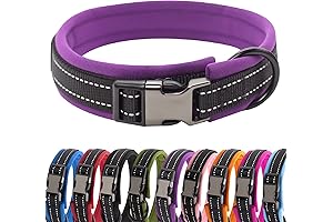 Comfortable and Stylish Nylon Dog Collar