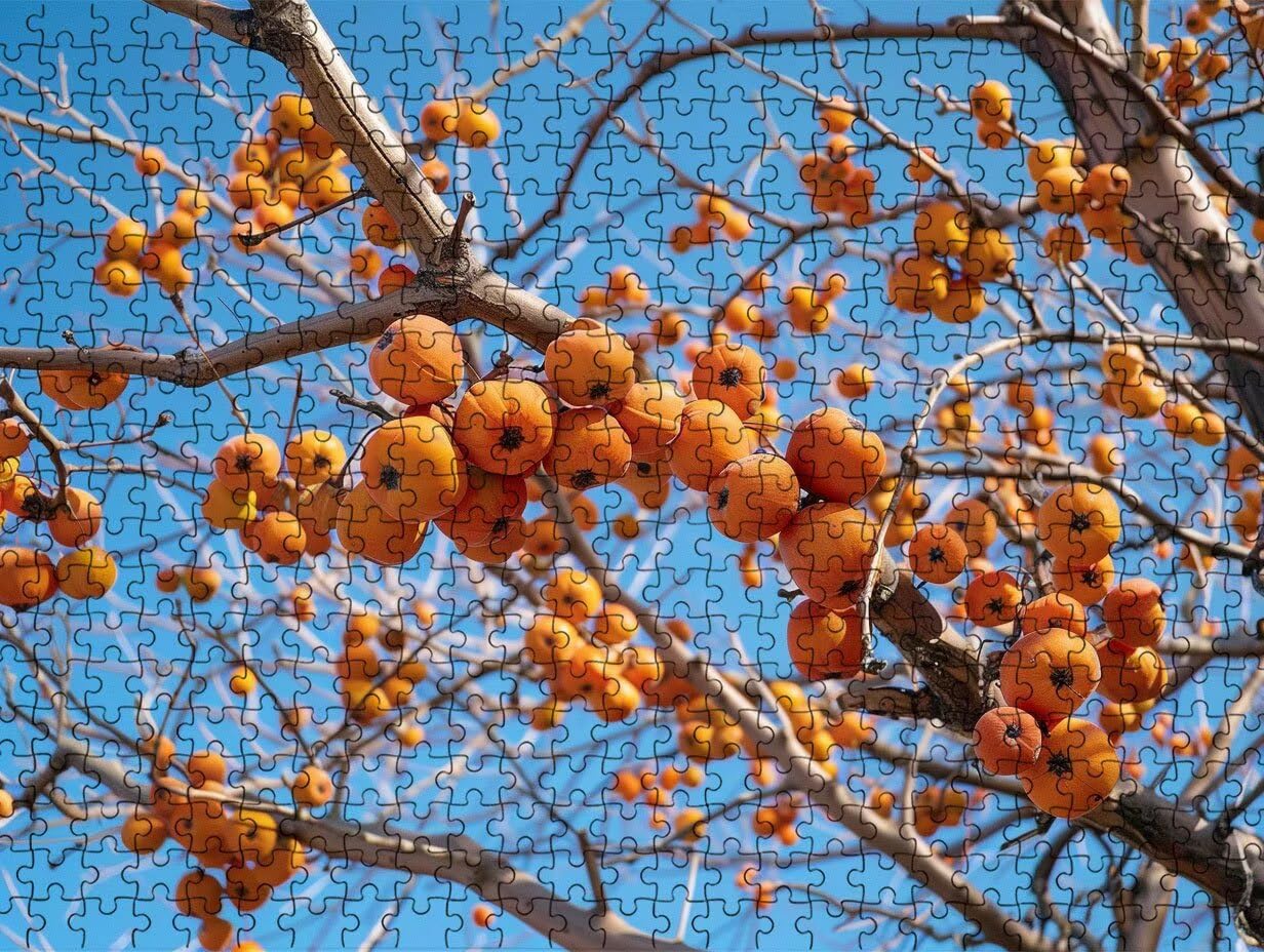 Puzzle dla dorosłych 1000, owoce drzewa, 1000 elementów, puzzle dla dorosłych, klasyczne gry edukacyjne, gry i zajęcia rodzinne, do dekoracji ścian domu, świetny pomysł na prezent R0KH-804