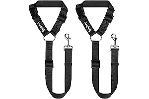 PawsPawty: Safe and Secure Travel for Your Canine Companion