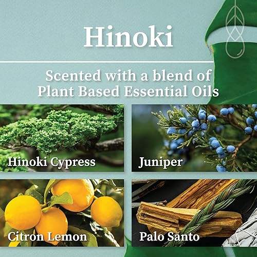 Miniatura 6 de Hemlock Park Vela con mecha de madera agrietada negra y dorada hecha a mano con cera de coco natural a base de plantas (crema de calabaza, estándar