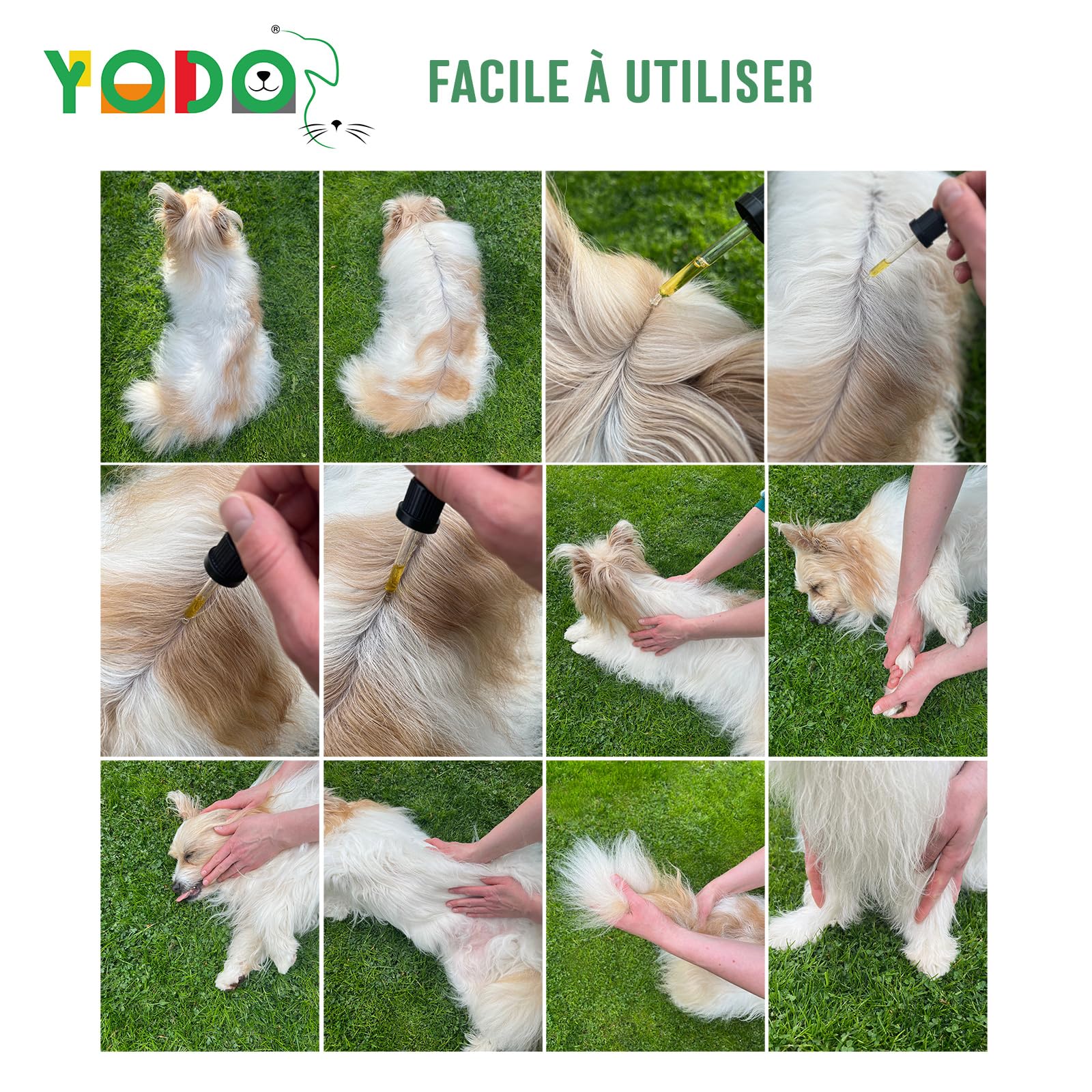 YODO’s Zeckenschreck, Protection 100% Naturelle Contre Les tiques, Huile Anti-tiques pour Chiens et Chats fabriquée à partir de 7 huiles Bio de Haute qualité, 2500 Gouttes 100ml Flacon à Pipette