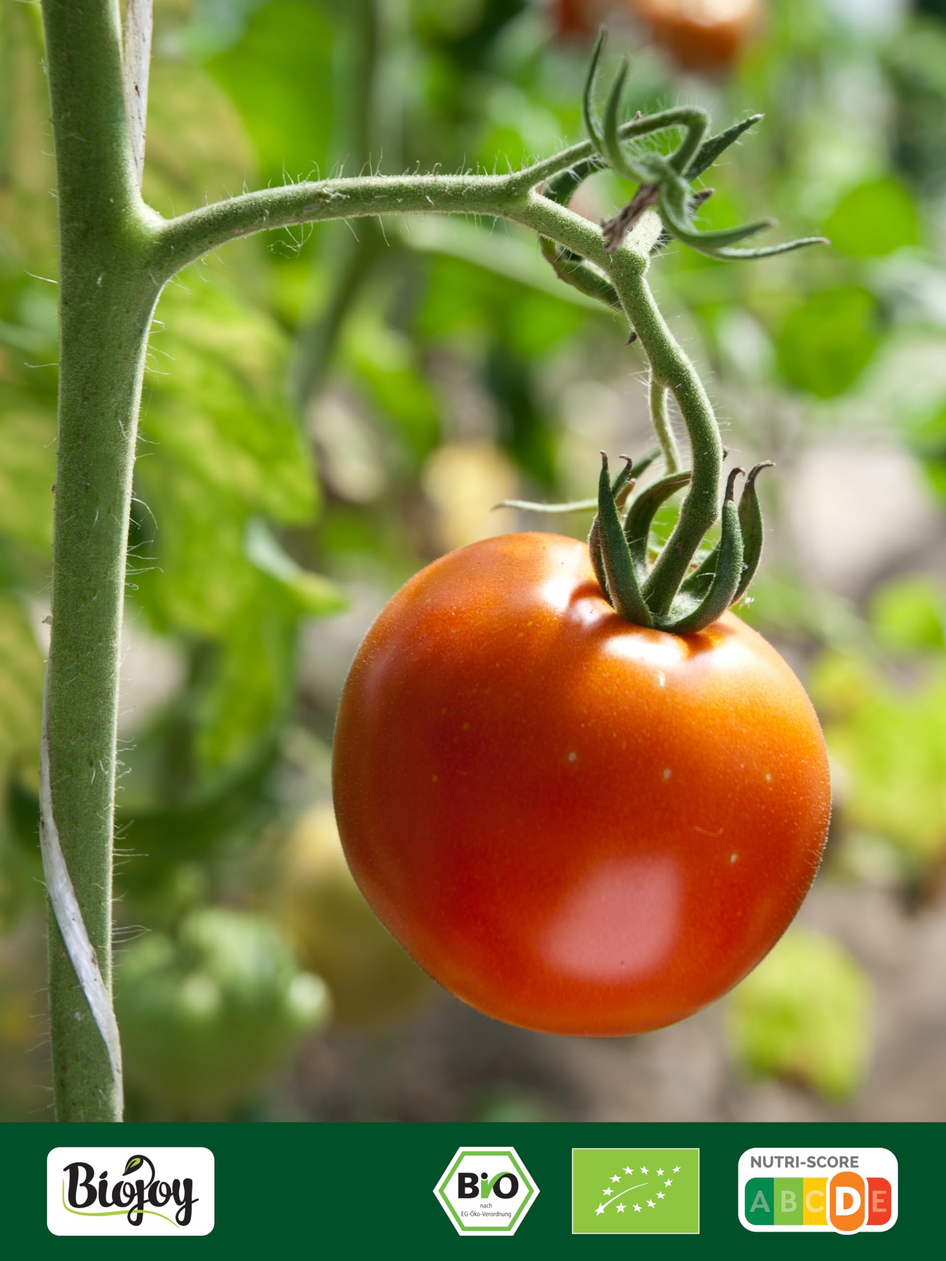 Biojoy Pomodori secchi BIO (1 kg), senza olio, con 7% Sale di roccia