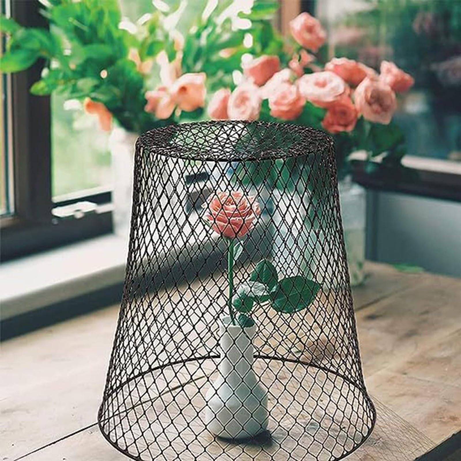 Lot de 5 cloches de jardin en métal avec piquets en forme de U pour protection des animaux, cages en maille résistante à la rouille, myrtilles, légumes, fleurs, 23 x 23 cm (noir)