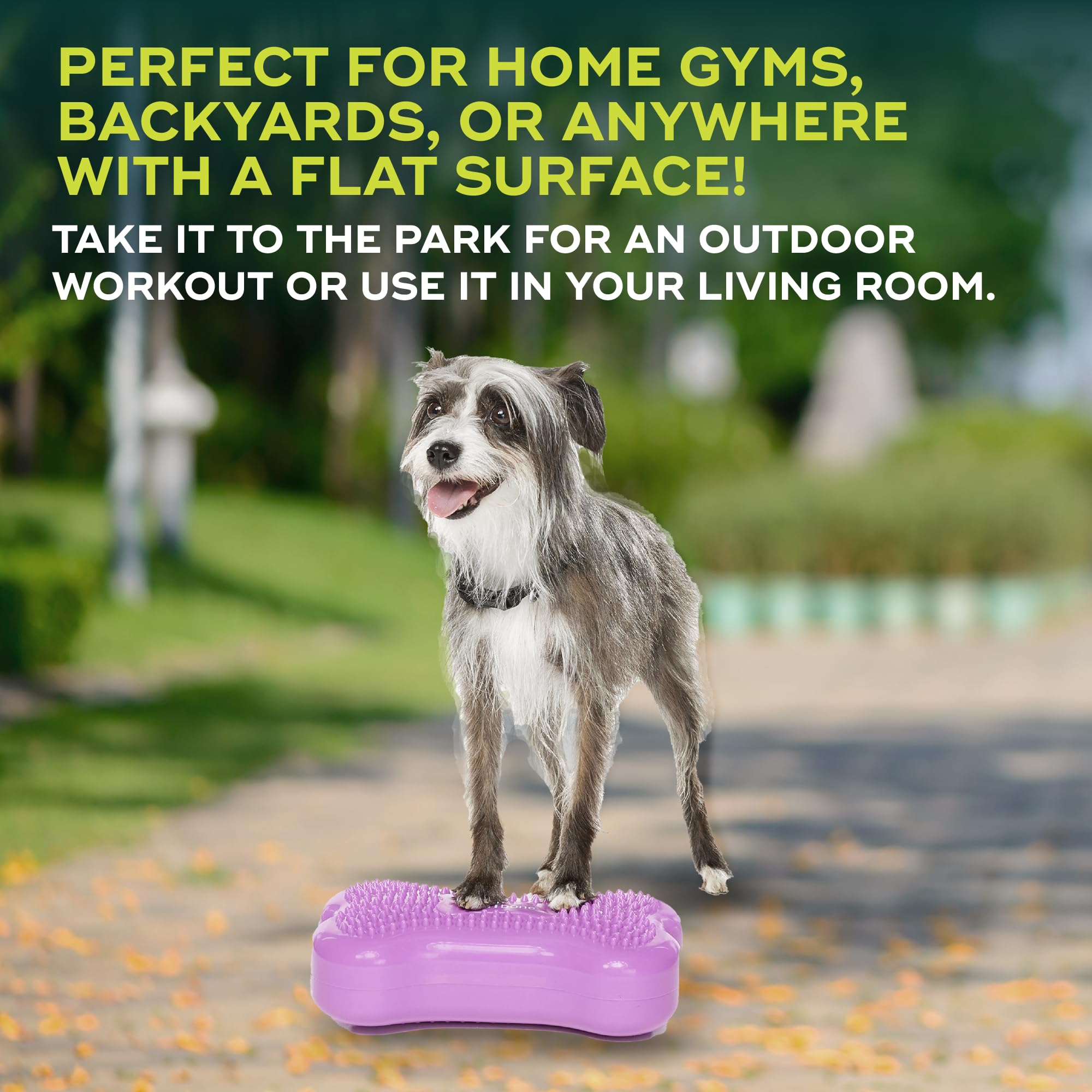 Amazon.co.jp: FitPAWS K9 FITbone Mini、ラズルベリー、2個セット