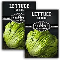 Survival Garden Seeds Iceberg Lettuce Heirloom Non-GMO - Crisp Head Variety, High Yield Crunchy Sweet Flavor for Home Gardens (2 Packs)