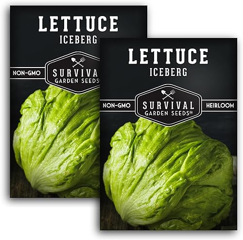 Paquete de 2 semillas de lechuga iceberg para plantar, paquete con instrucciones para cultivar lechuga crujiente en tu huerto casero, variedad de