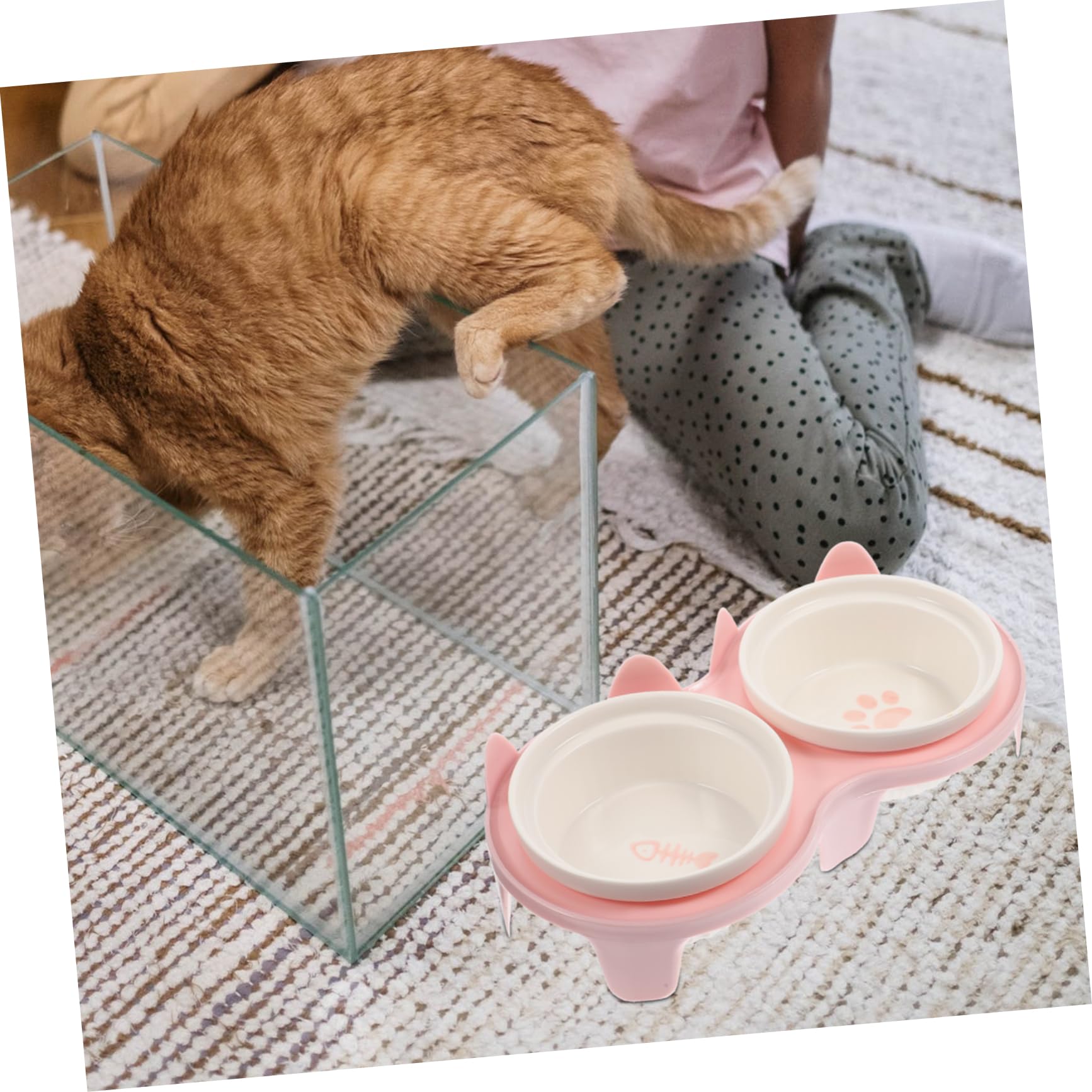 Hohopeti Erhöhter Katzennäpfe Aus Keramik Mit Bambusständer Für Haustierfutter Spülmaschinenfest Und Leicht Zu Reinigen Für Indoor-katzenhaltung