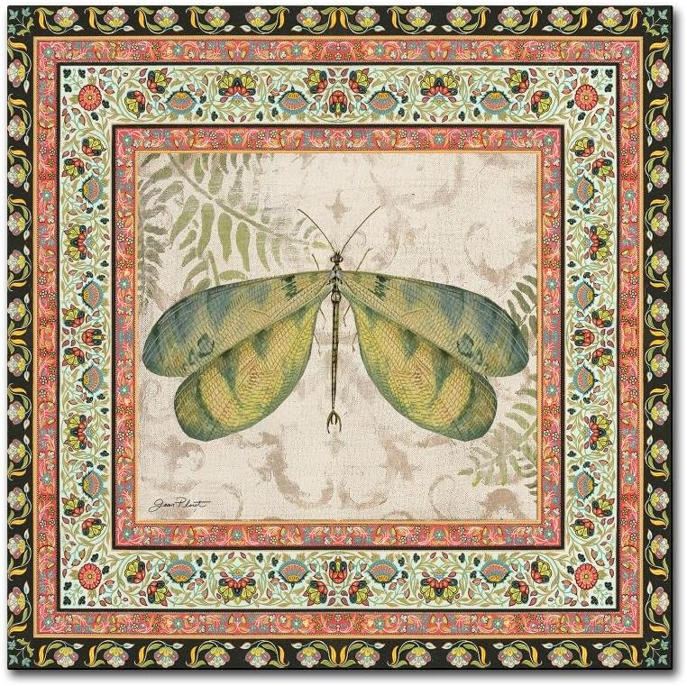 Trademark Fine Art Bohemian Dragonfly