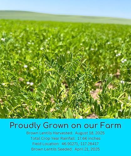 Miniatura 3 de Palouse - Lentejas pequeñas color marrón • Pardina o marrón español • Proyecto sin OMG verificado • 5 libras • 100% no irradiado • Certificado