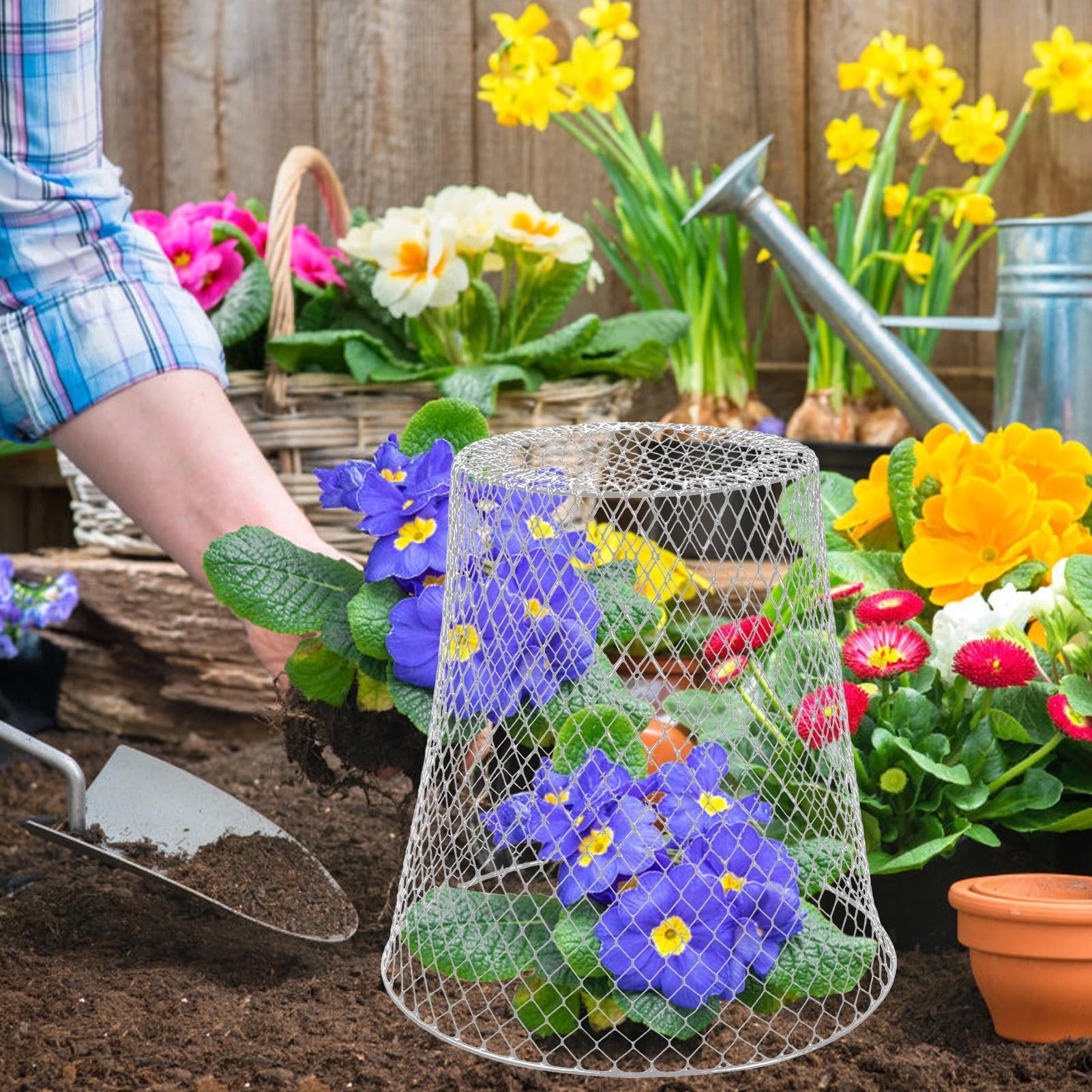 Lot de 5 cloches en fil de poulet pour plantes, protection contre les animaux, cloches de jardin, légumes, myrtilles, fleurs, arbustes