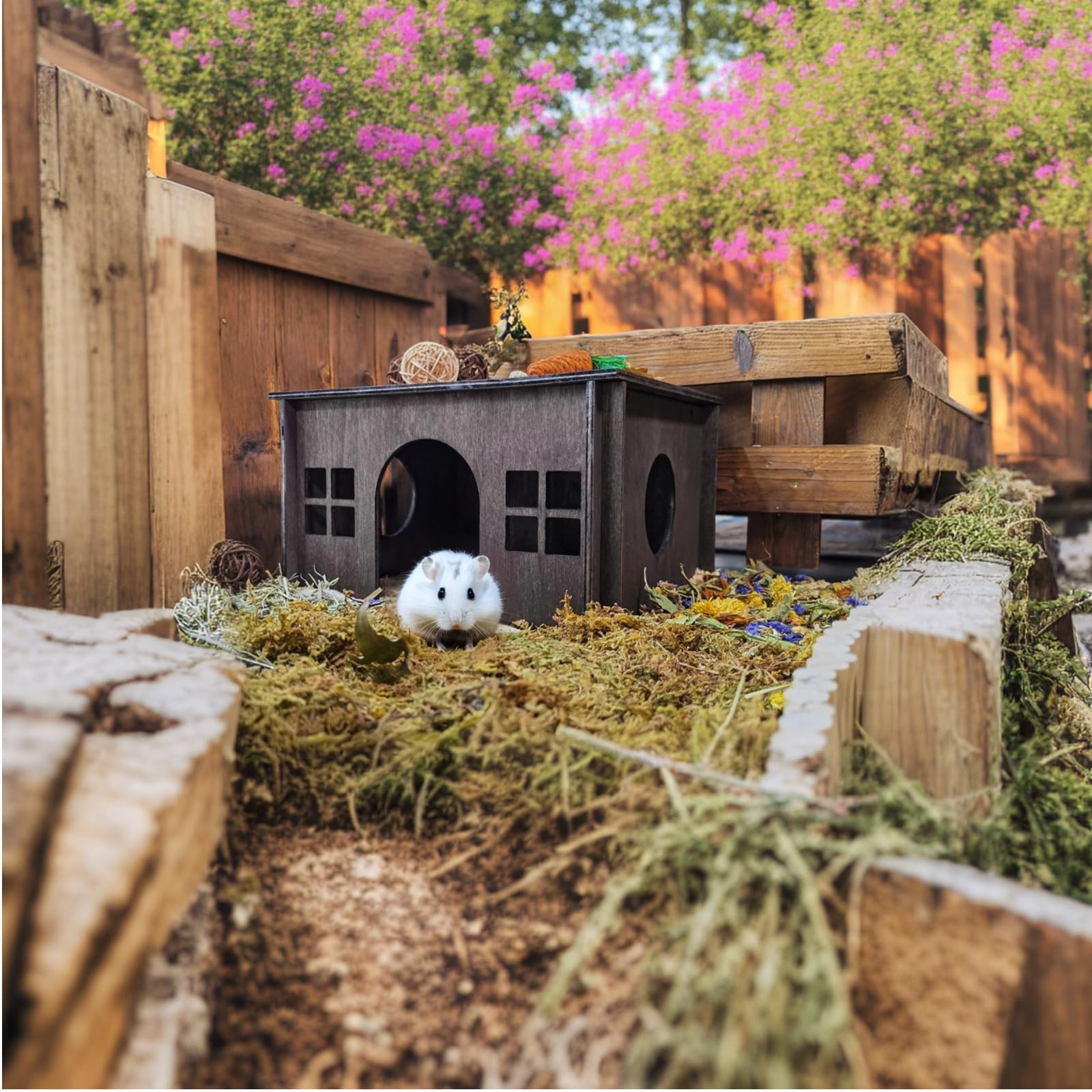 Maison pour Petits Animaux, Cabane en Bois Naturel avec Coussin pour Cochon d'Inde, Lapin Nain et Petits Rongeurs - Maisonnette, Cachette, Nid et Abri pour Petits Animaux d'Intérieur