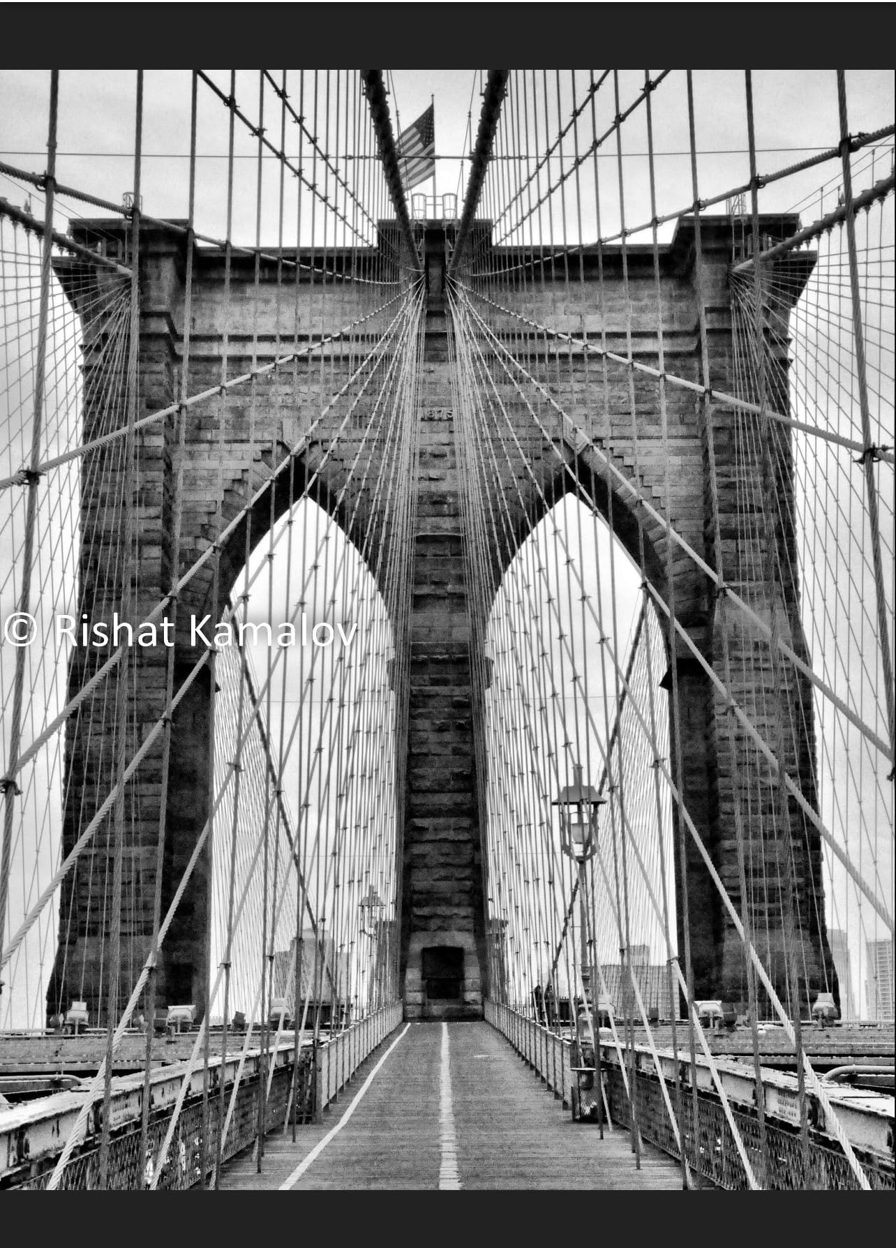 GenericBrooklyn Bridge Spider (Close Up)